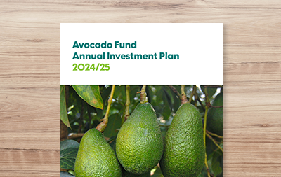 Annual Investment Plan 2024/25