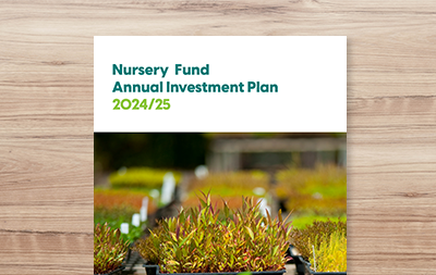 Annual Investment Plan 2024/25