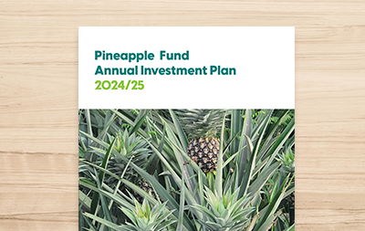 Annual Investment Plan 2024/25