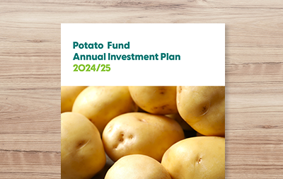 Annual Investment Plan 2024/25